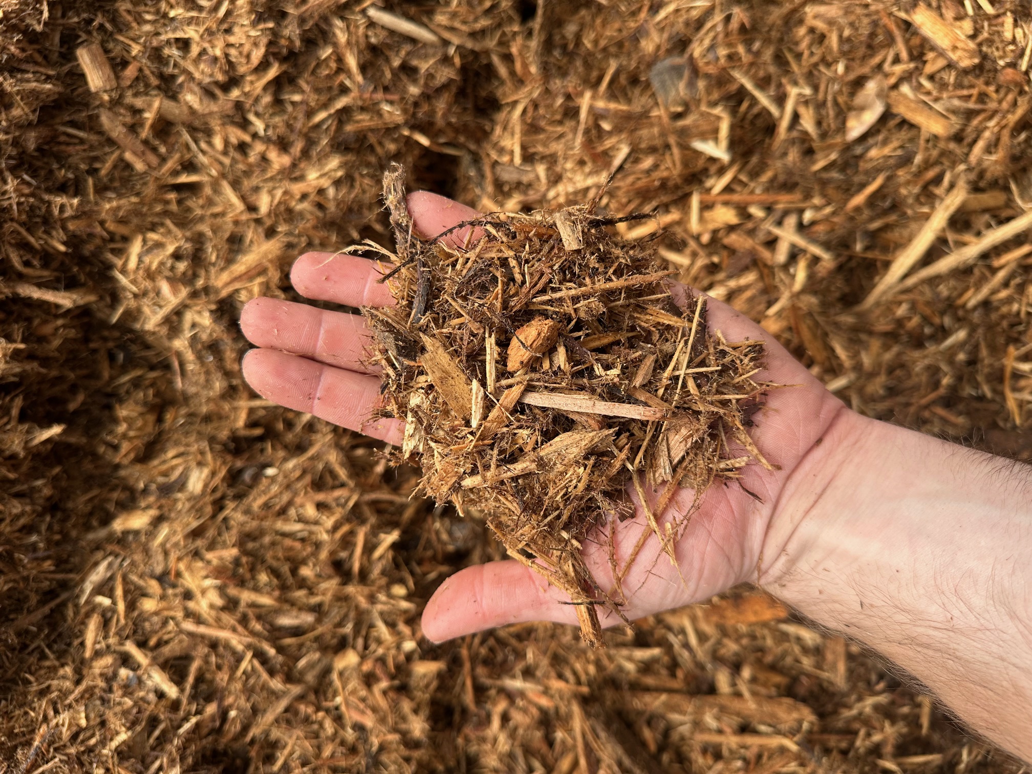 https://threez.infiaglobal.com/storage/photos/1/Products/Mulch/Cypress/CYPRESS MULCH 2.jpg